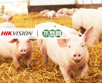 客戶案例丨AI助力智慧豬場，讓養(yǎng)殖者不再愁
